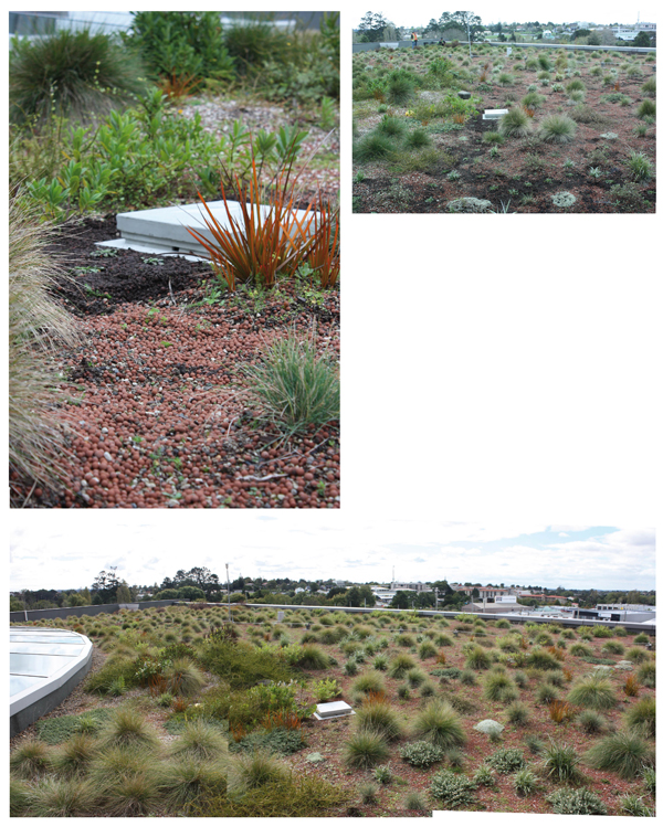 Interview Prosthetic Lizard Homes The Expanded Environment